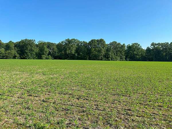 54 Acres of Agricultural Land for Sale in Bethel, Ohio