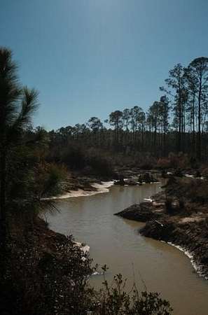 21 Acres of Land for Sale in Nahunta, Georgia