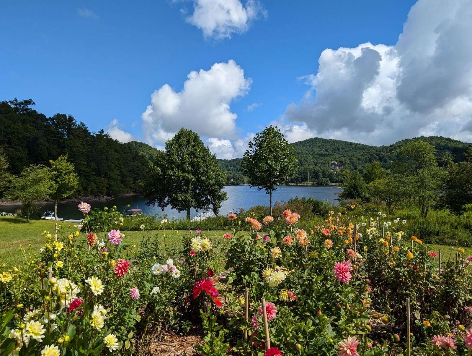 0.81 Acres of Land for Sale in Cullowhee, North Carolina