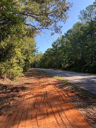 18.4 Acres of Recreational & Residential Land for Sale in Cusseta, Georgia