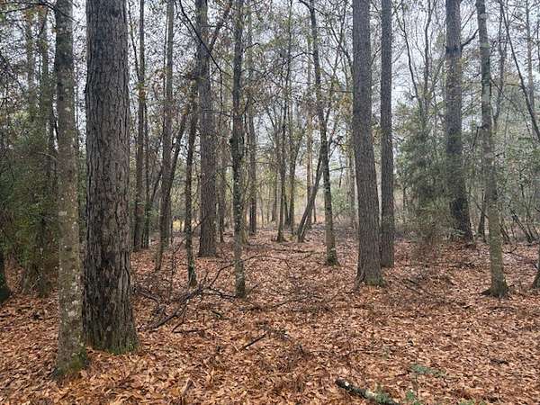 58 Acres of Recreational Land for Sale in Warren, Texas