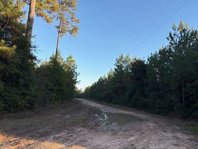 9.6 Acres of Residential Land for Sale in Warren, Texas