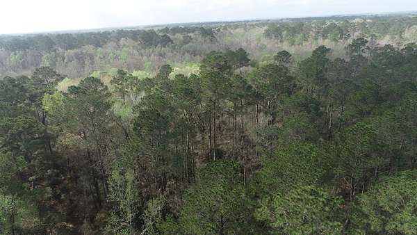 155 Acres of Recreational Land for Sale in Daisetta, Texas