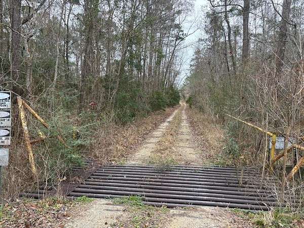 155 Acres of Recreational Land for Sale in Devers, Texas