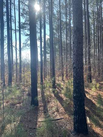 25 Acres of Recreational & Residential Land for Sale in Thomaston, Georgia