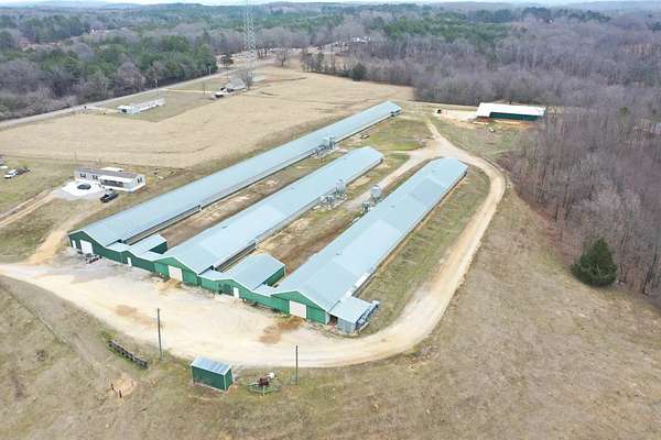 18 Acres of Agricultural Land for Sale in Russellville, Alabama