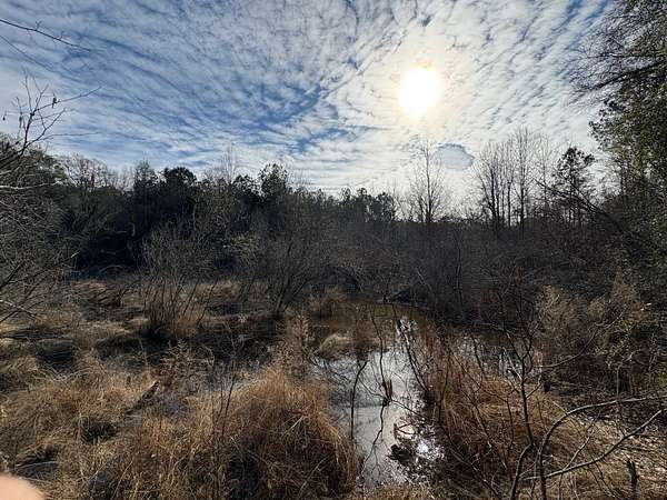 24 Acres of Recreational Land for Sale in Red Level, Alabama
