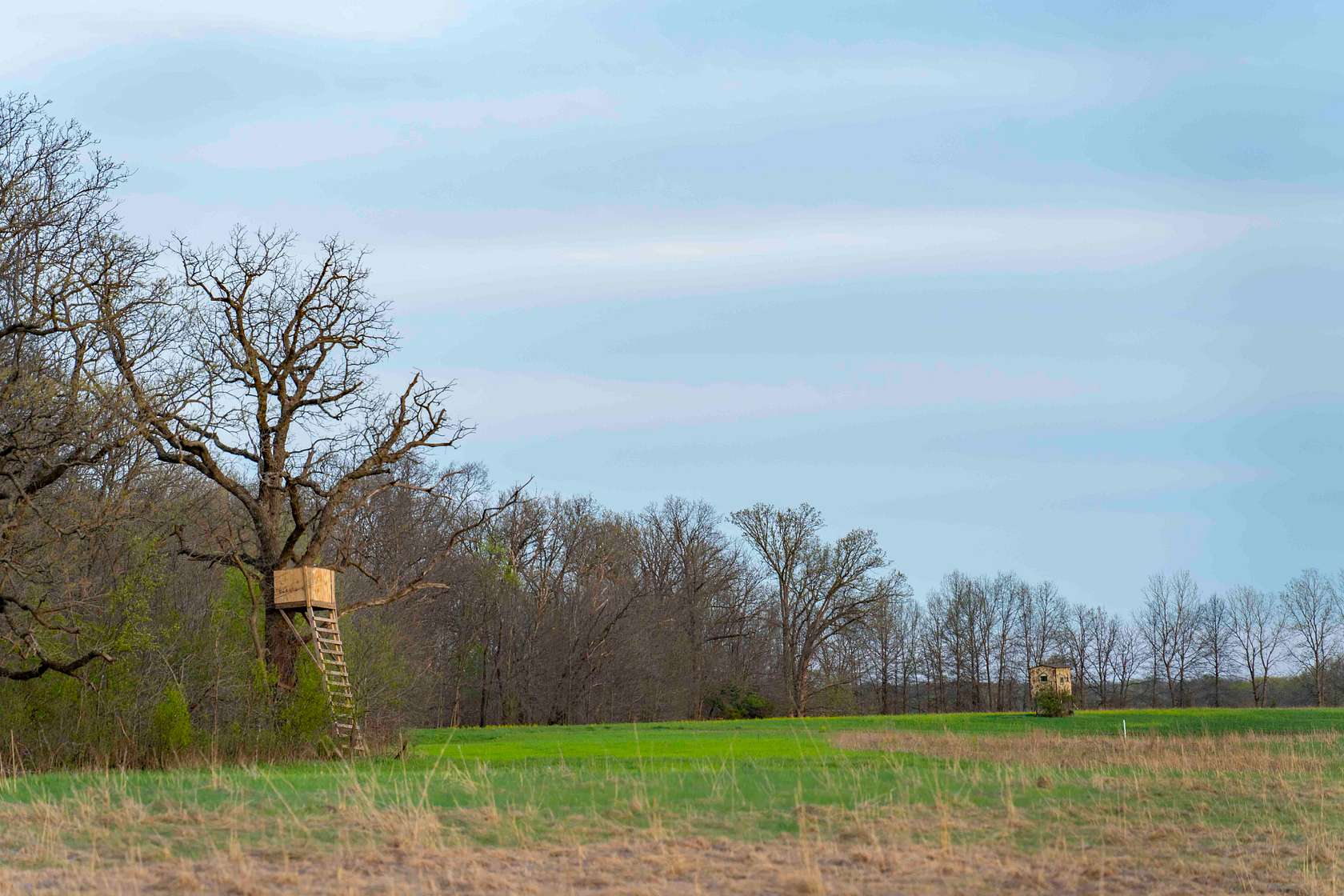 66 Acres of Recreational Land & Farm for Sale in Arbela, Missouri