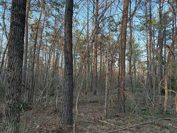 20 Acres of Land for Sale in Adamsville, Tennessee