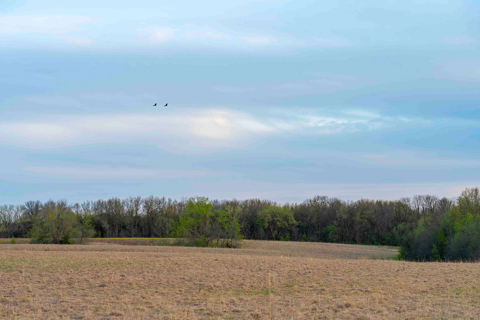 102 Acres of Land for Sale in Arbela, Missouri