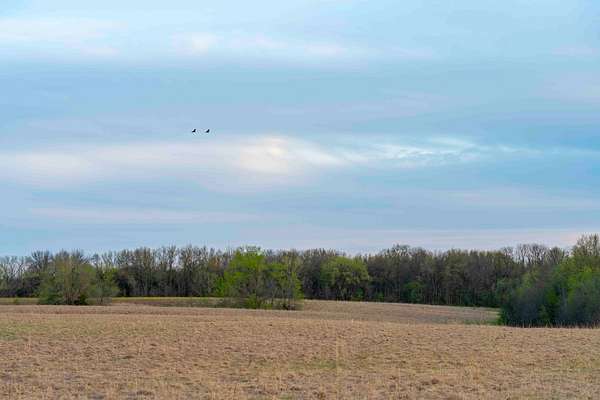 102 Acres of Recreational Land & Farm for Sale in Arbela, Missouri