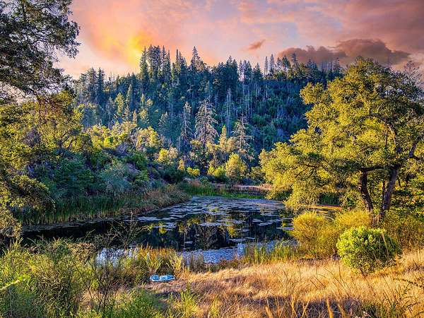 257 Acres of Land for Sale in Calistoga, California