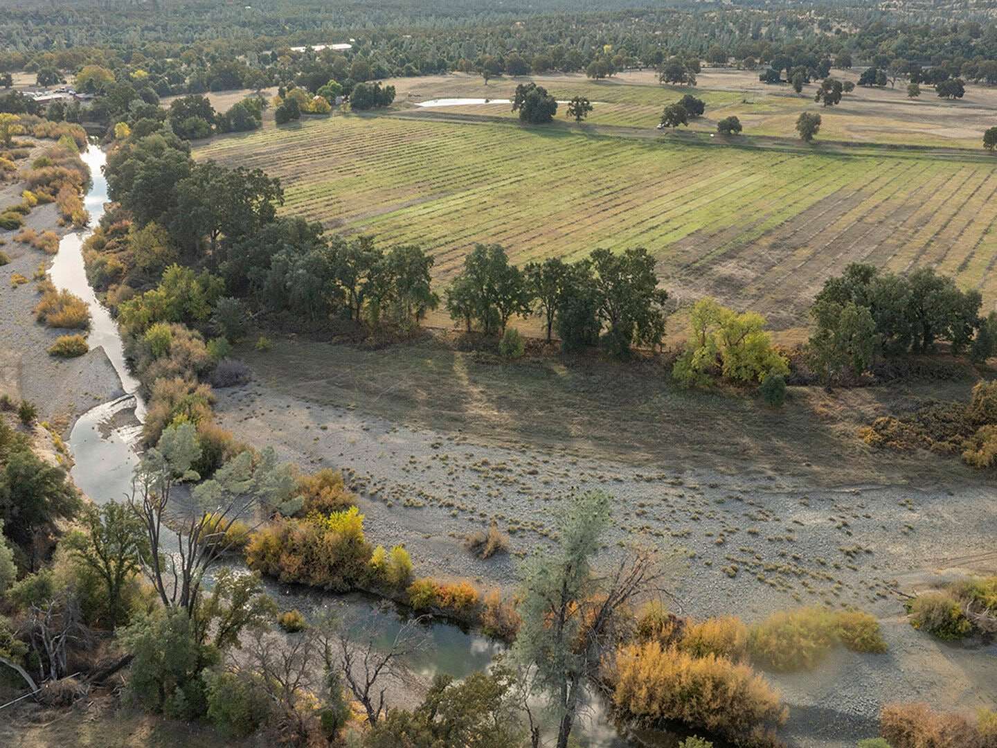 110 Acres of Land for Sale in Cottonwood, California
