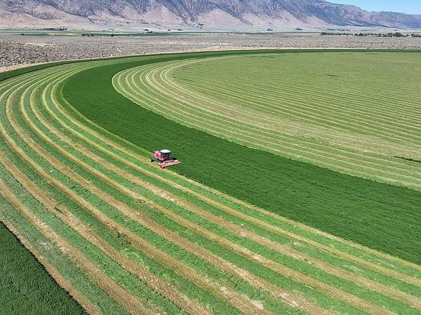 490 Acres of Land for Sale in Herlong, California