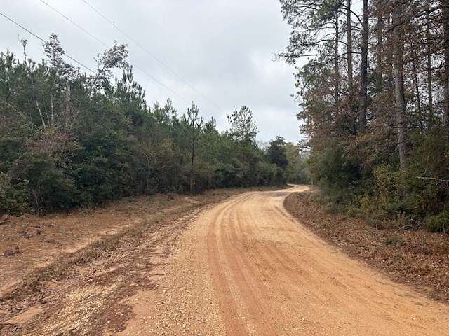 28 Acres of Land for Sale in Warren, Texas