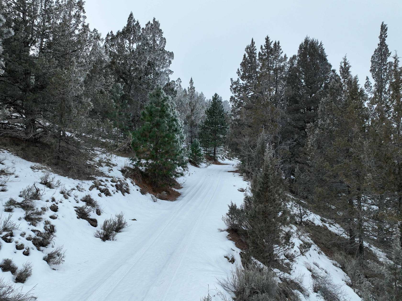 370 Acres of Land for Sale in Drewsey, Oregon