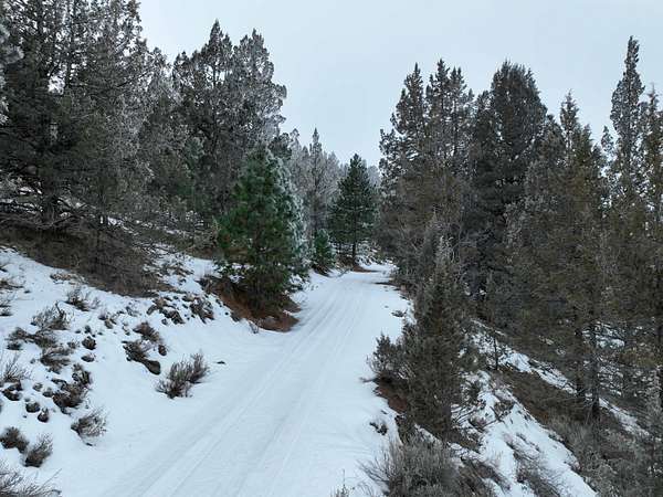 370 Acres of Land for Sale in Drewsey, Oregon