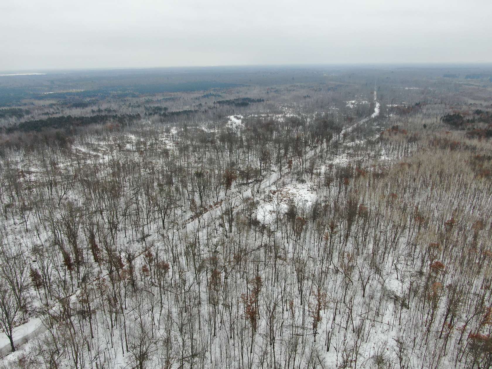 81.5 Acres of Land for Sale in New Lisbon, Wisconsin
