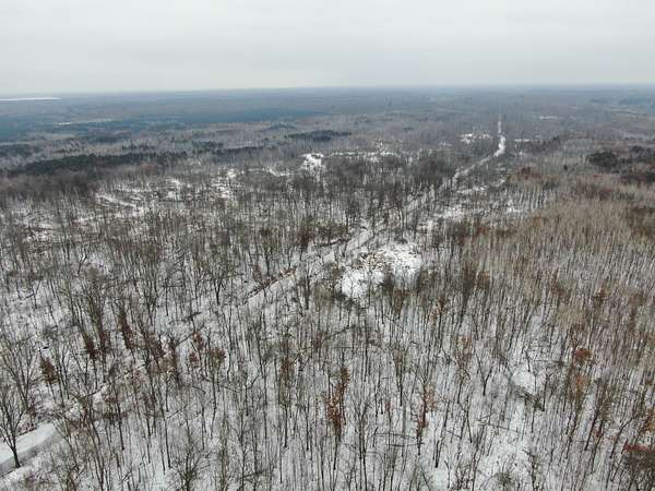 81.5 Acres of Land for Sale in New Lisbon, Wisconsin