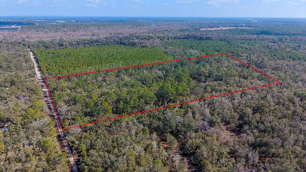 20 Acres of Land for Sale in Branford, Florida