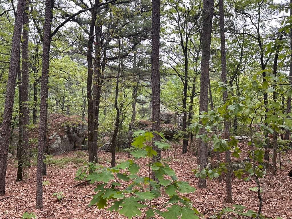 7.5 Acres of Residential Land for Sale in Moyers, Oklahoma