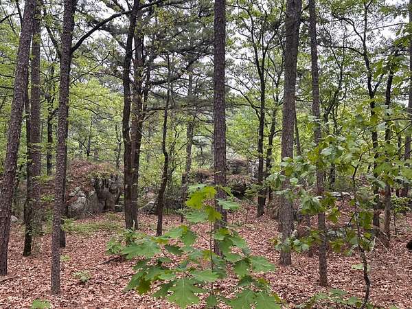 7.5 Acres of Residential Land for Sale in Moyers, Oklahoma