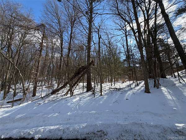 2 Acres of Residential Land for Sale in Putnam Valley, New York