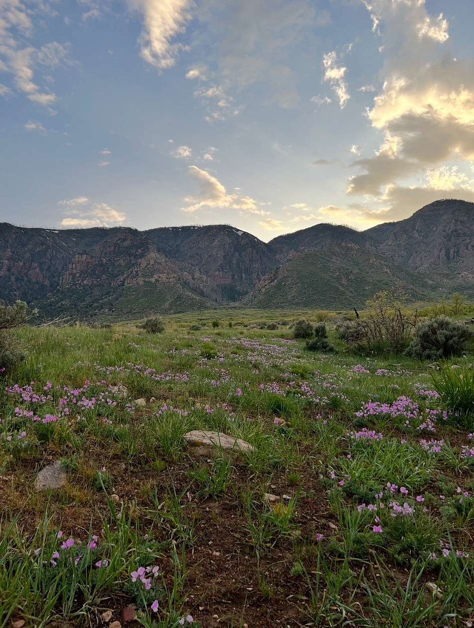 302 Acres of Agricultural Land for Sale in Scipio, Utah