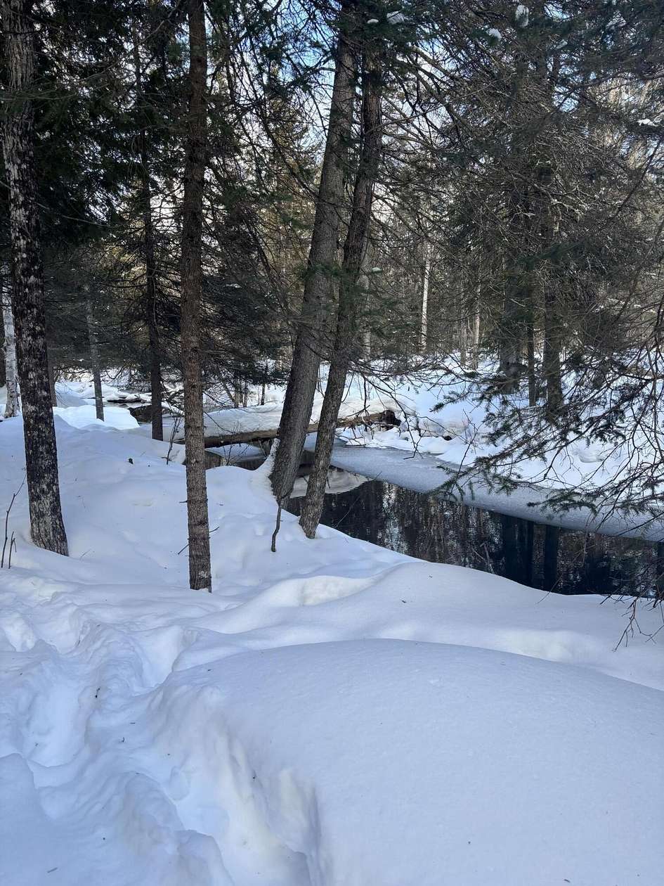 0.65 Acres of Residential Land for Sale in Cedarville, Michigan