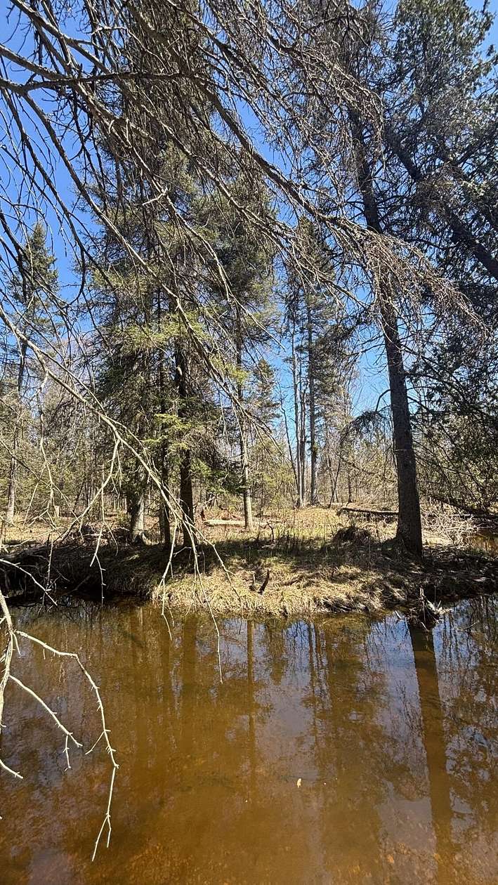 0.65 Acres of Residential Land for Sale in Cedarville, Michigan
