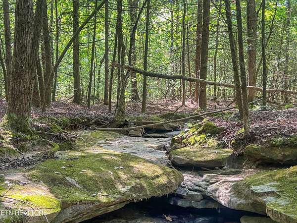 120 Acres of Recreational Land for Sale in Oneida, Tennessee