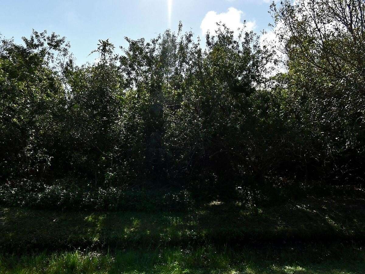 0.26 Acres of Residential Land for Auction in Fort Pierce, Florida