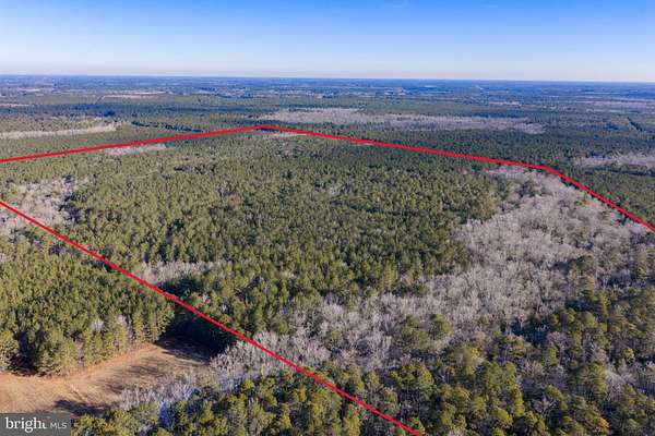 138 Acres of Recreational & Residential Land for Sale in Snow Hill, Maryland