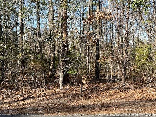 0.52 Acres of Residential Land for Sale in Cottondale, Alabama