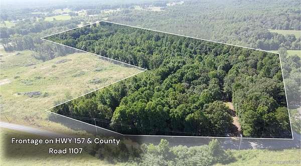 20.2 Acres of Land for Sale in Vinemont, Alabama