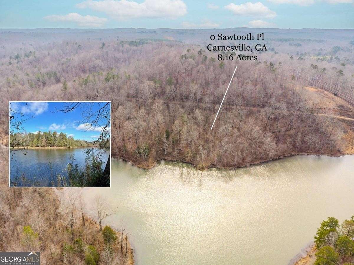 8.16 Acres of Land for Sale in Carnesville, Georgia
