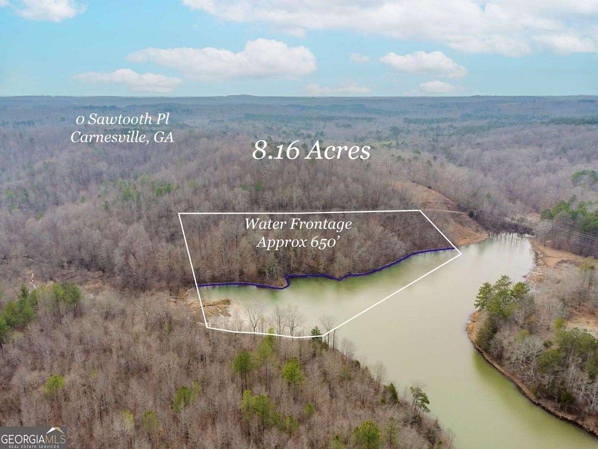 8.16 Acres of Land for Sale in Carnesville, Georgia