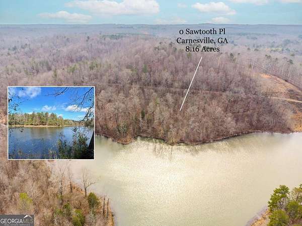 8.16 Acres of Land for Sale in Carnesville, Georgia