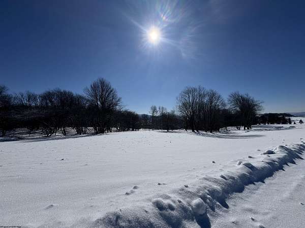 2 Acres of Residential Land for Sale in Davis, West Virginia