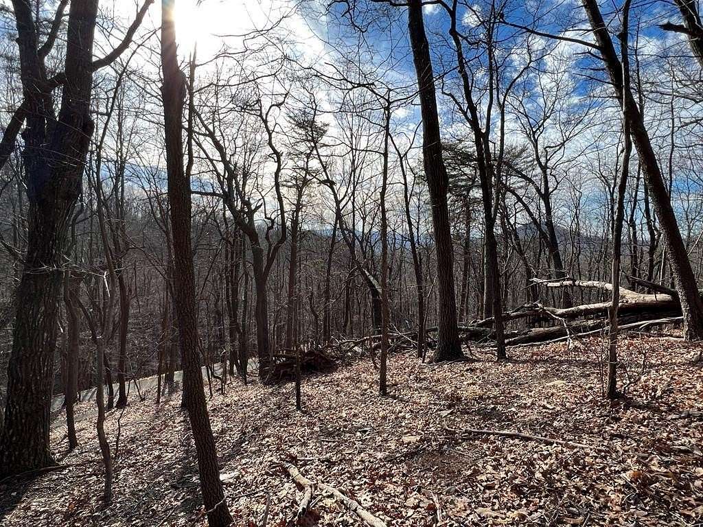 1.2 Acres of Residential Land for Sale in Jasper, Georgia