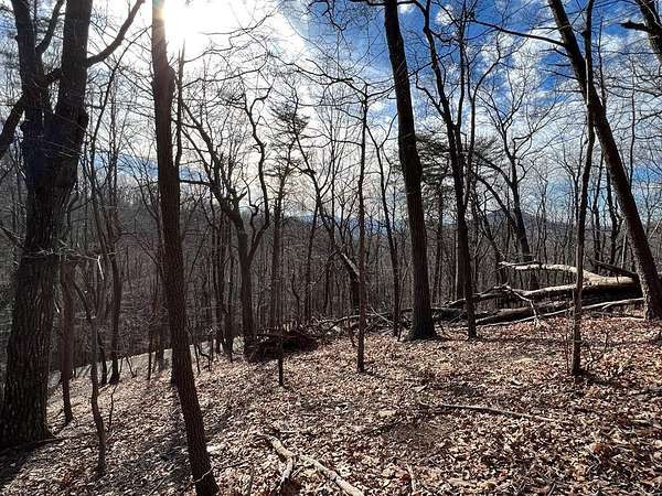 1.2 Acres of Residential Land for Sale in Jasper, Georgia