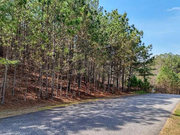 1 Acre of Residential Land for Sale in Blairsville, Georgia