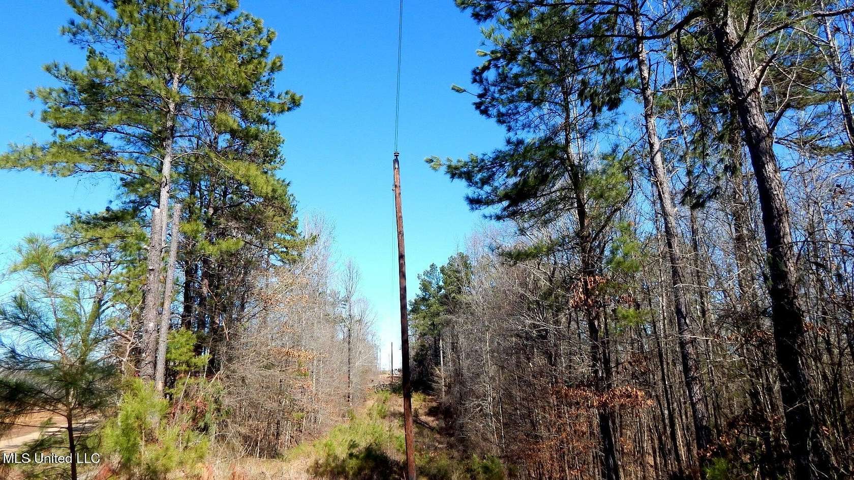 40 Acres of Recreational & Residential Land for Sale in Coffeeville, Mississippi