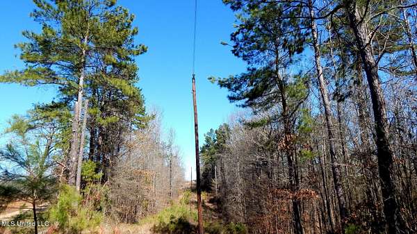 40 Acres of Recreational & Residential Land for Sale in Coffeeville, Mississippi