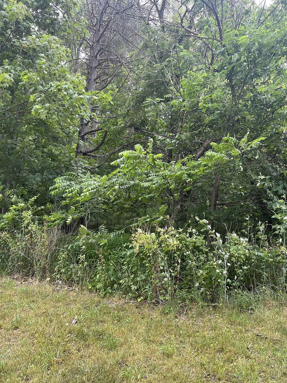 0.38 Acres of Residential Land for Sale in St. Charles, Michigan