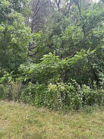 0.38 Acres of Residential Land for Sale in St. Charles, Michigan