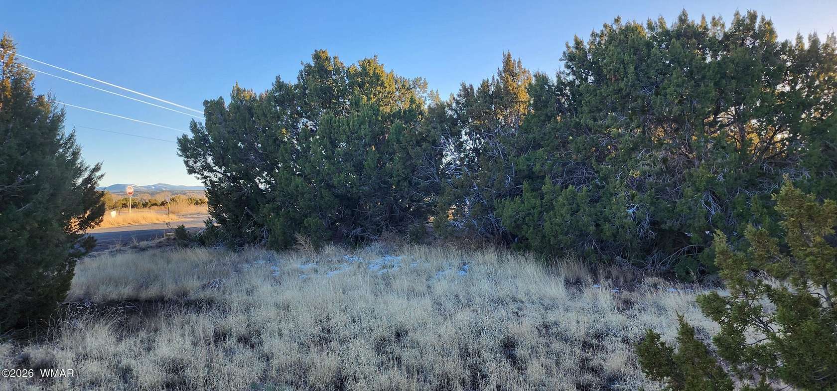 0.39 Acres of Commercial Land for Sale in Concho, Arizona