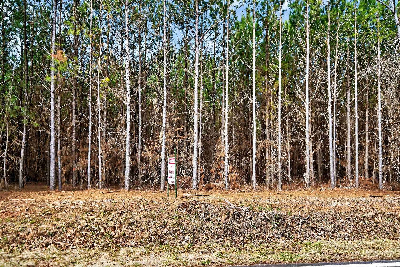 16.7 Acres of Land for Sale in Eatonton, Georgia