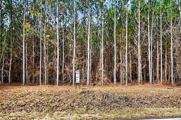 16.7 Acres of Land for Sale in Eatonton, Georgia