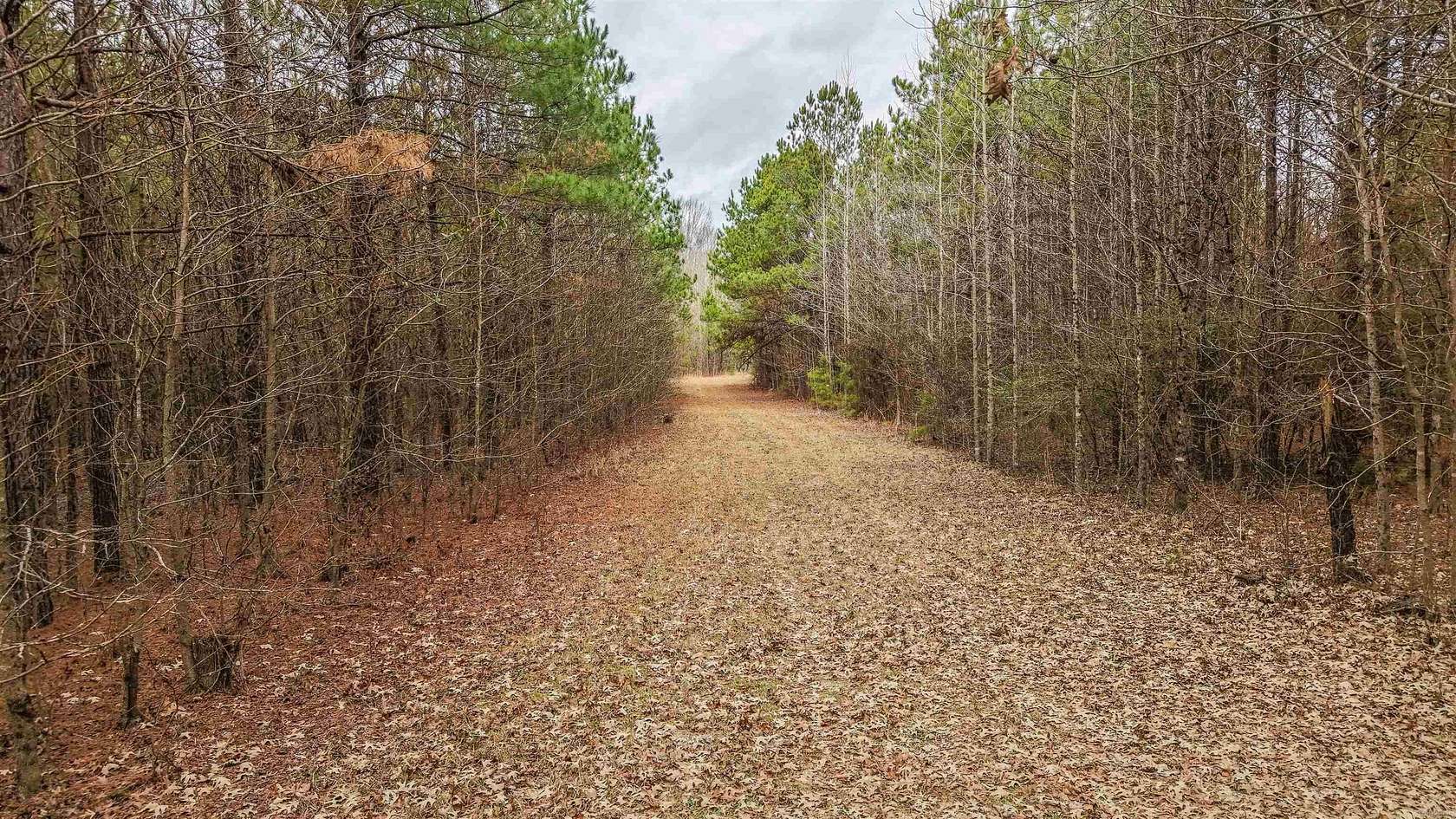 49 Acres of Recreational & Residential Land for Sale in Pine Bluff, Arkansas